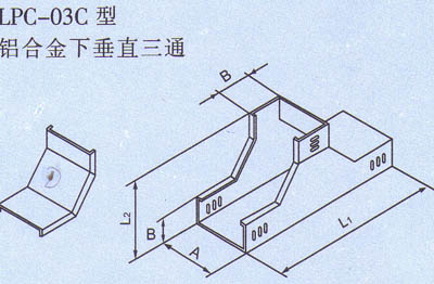 cŴ